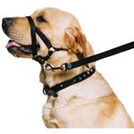 Ancol Weatherproof Nylon Black Training Halter Head Collar Animal Pet Training Accessory, Large