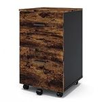 Panana Mobile File Cabinet with 2 Drawers, Wooden Small Filing Cabinet Office Cabinet Rolling File Cabinet Under Desk Mobile Filing Organizer Office Home (Wood)