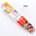 EZWORK 24 Pack Wooden Colored Pencils with Built-in Sharpener in Tube Cap, Vibrant Color Presharpened Pencils Easy to Color Book, Soft Core Art Drawing Pencils for Coloring, Sketching, and Painting