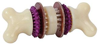 Premier PetSafe Busy Buddy Bristle Bone Dog Chew Toy, L, purple