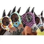 4 Pieces Horse Fly Mask with Ears F