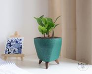 Zamia Live Indoor Plant ZZ Green | Low-Maintenance Indoor Live Plant for Home | 13cm Green Self-Watering Recycled Planter | Perfect Indoor Plant for Desk & Office