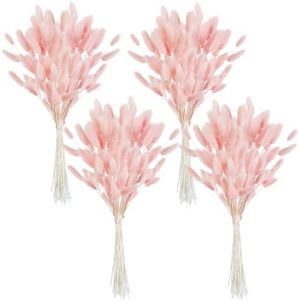 Phliofd 480 Pcs Bunny Tails Dried Flowers, Natural Dried Bunny Tails Grass Dried Lagurus Ovatus Rabbit Tail Grass for Flowers Arrangements DIY Craft Wedding Party Home Table Decor (Pink)