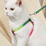 RvPaws Cats 10MM Durable Nylon Colourful Harness Set | Adjustable Rainbow Color Harness with Leash | Soft Walking Harness and Leash for cat & Kitten - 1Pcs