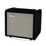 TS20 Bass Combo Amp -20W Suitable f