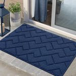 Biscpro Door Mat 60x90 cm, Indoor DoorMat Washable, Doormat Indoor Dirt Trapper Non-slip, Absorbent Inside Entrance Rug Floor Mat for Entryway, Patio, Garden, laundry Room,Pets and Dogs - Blue