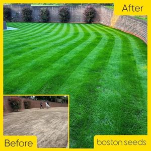 Boston Seeds Premier Grass Seed 5kg – Premium Professional Lawn Mix