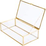 Levilan Vintage Large Clear Rectangle Jewelry Display Organizer Box with Lid (Golden, 8 x 4.5 x 2 inch)