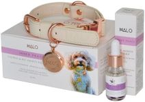 Halo Inner Peace Calming and PET Anxiety Relief Collar for Dogs and Cats Vegan Leather Collar with All Natural Essential Oil Blend Calm Fear and Reduce Separation Anxiety (Beige, Medium)