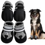 Dog Shoes