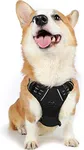 rabbitgoo Dog Harness, No-Pull Pet 