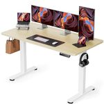 ErGear Height Adjustable Electric Standing Desk, 55 x 28 Inches Sit Stand up Desk, Memory Computer Home Office Desk (Natural)