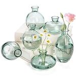 Yopay 6 Pack Small Glass Bud Vase, Green Mini Flowers Vases for Wedding, Cute Decorative Transparent Vases for Centerpieces, Events, Parties, Entryways Minimalist Aesthetic Home Decor