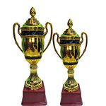 Bareeze Pure 20 Inch 18 Inch Trophy for Cricket Tournament, Sport, Academy, Awards, School Trophy