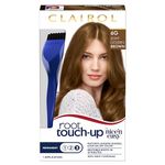 Clairol Nice 'n Easy Root Touch-Up, 6G Light Golden Brown, Permanent Hair Color, 1 Kit (Pack of 2)