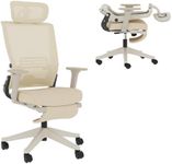 FLEXISPOT Ergonomic Office Chair wi