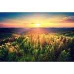 Pitaara Box Sunset Over The Forest Hills | Peel & Stick Vinyl Wall Sticker for Bedroom & Living Room | 36 x 24 inch (91 x 61 cms)