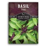 200+ SEEDS- Thai Basil Seed for Planting -Grow Asian Basil Indoors or Outdoors in Your Home Garden - Non-GMO Heirloom Variety - 1 Pack