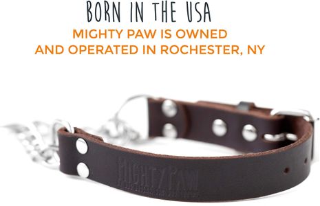 Mighty Paw Leather Martingale Dog Collar – Stainless Steel Chain, Safe Training