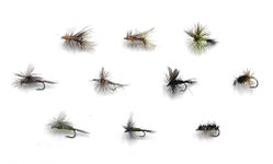 Feeder Creek Fly Fishing Assortment - 60 Flies in 10 Trout Crushing Patterns of Dry Flies (Adams, Blue Wing Olive, Stimulator, Drake and More) Sizes 14-18