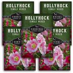 Survival Garden Seeds - Single Mixed Hollyhock Seed for Planting - 5 Packs with Instructions to Plant and Grow Colorful Spikes of Flowers in Your Home Vegetable Garden - Non-GMO Heirloom Variety