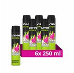 Lynx Epic Fresh Bodyspray deodorant with a grapefruit & tropical pineapple scent 48 hours of odour-busting zinc tech 6x 250 ml