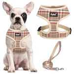 PUPTECK Dog Harness Small Dog Soft Mesh Pet Puppy Cat Comfort Padded Vest No Pull Harnesses and Lead Set