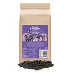 Food Thoughts Chocolate Coated Cacao Nibs (500g bag) | Fairly Traded | Rich in Antioxidants, Iron & Magnesium | Gluten Free, Nut Free, Dairy Free | High Fibre & Protein | Baking, Smoothies, Granola