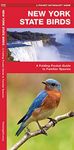 New York State Birds: A Folding Pocket Guide to Familiar Species (Wildlife and Nature Identification)