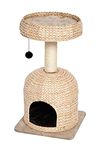 MidWest Homes for Pets Cat Tree |Scout Cat Furniture Cat Activity Tree w/Sisal Wrapped Support Scratching Posts & Dangle Play Balls, Woven Rattan & Script Small Cat Tree