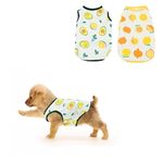 2 Pcs Dog Shirts, Cute Breathable Puppy Sweatshirt with Fruit Patterns, Summer Beach Wear T-Shirt, Soft Pet Vest Clothes, Pet Clothing for Small Medium Boys and Girls Dog Cat (M)