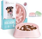 Purrfects Slow Feeder Dog Bowl (Can