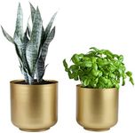 Vixdonos Large Gold Planters Metal Aloe Brass-Tone Plant Pots Indoor Decorative Flower Pots with Drain Holes(8+7.1Inch)