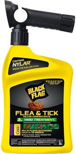 Black Flag