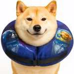 Inflatable Dog Recovery Collar – So