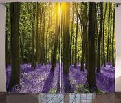 ABAKUHAUS Woodland Curtains, Sunbeams in the Forest of Bluebells Blooms Deep in Woodland Oxfordshire, Living Room Bedroom Window Drapes 2 Panel Set, 96 L X 110 W, Violet Green Yellow