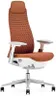 Haworth Fern Executive Office Chair with Ergonomic Innovations - Stylish Desk Chair with Digital Knit Finish and Adjustable Headrest - with Lumbar Support (Ember)