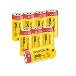 Tanatare Rechargeable D Batteries H