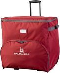 Balsam Hill Deluxe Rolling Ornament