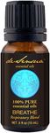 Breathe, Respiratory - Chest Oil Blend, 100% Pure Essential Oils - Camphor, Eucalyptus, Peppermint, Thyme, Pine - 15 mL