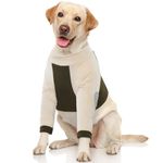 LeLePet Dog Recovery Sleeve Front Leg, Dog Elbow Protector, Dog Leg Surgical Recovery Suit, Dog Leg Wound Joint Protector to Prevent Licking Bite, Short Dog Sleeve Suit Leg Brace Support, Green 2XL