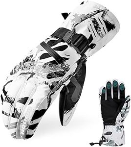 Ski Gloves