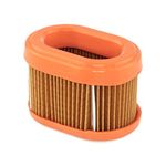 Briggs & Stratton 790166 Oval Air Filter Cartridge, Orange