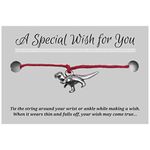 Dinosaur Charm Red Wish Bracelet, Hemp with Silver Tone Charm on Printed Card, Adjustable Size up to 12 inches, Unisex Friendship Bracelet, Dino Lover Gift