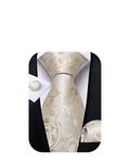 DiBanGu Mens Tie Set Paisley Floral Necktie Hanky Cufflinks Silk Tie Set Party Wedding, Champagne, One Size