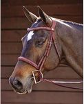 Dover Saddlery Ergonomic Hunter Bridle - Oakbark - Horse-F/S