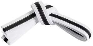 Mastery Leadership (white belt/Black stripe, 1)