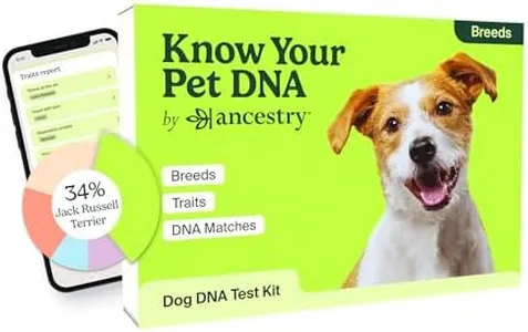 Ancestry D