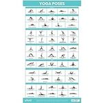 Vive Yoga Poster - Poses for Beginn