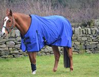 Turners Royal Blue Lightweight 0g F